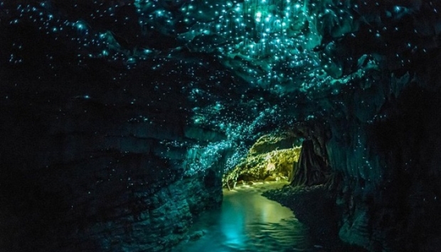9. Glowworm Mağaraları – Yeni Zelanda