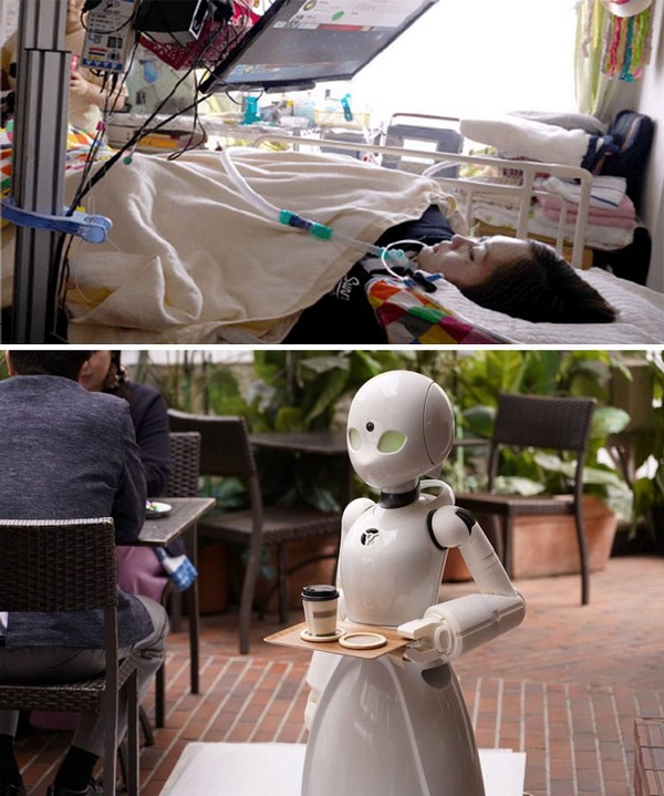 Burada gördüğünüz şey Japonya’da bir kafe ve bu kafe robotları kontrol edebilen felçli hastaları işe alıyor. Bu sayede hala para kazanabiliyorlar